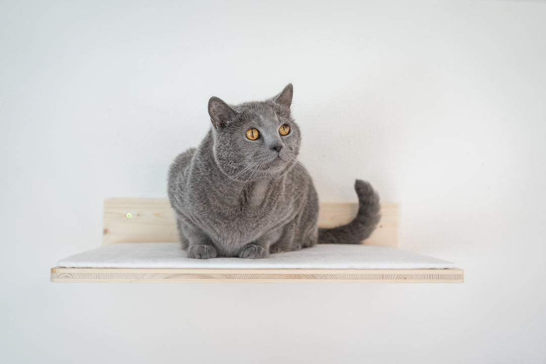 Katzenbett CLASSY
