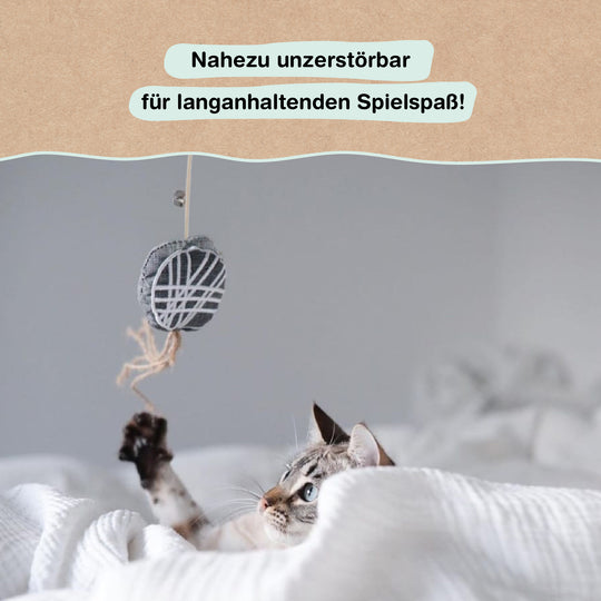 Stubentiger Katzenangel