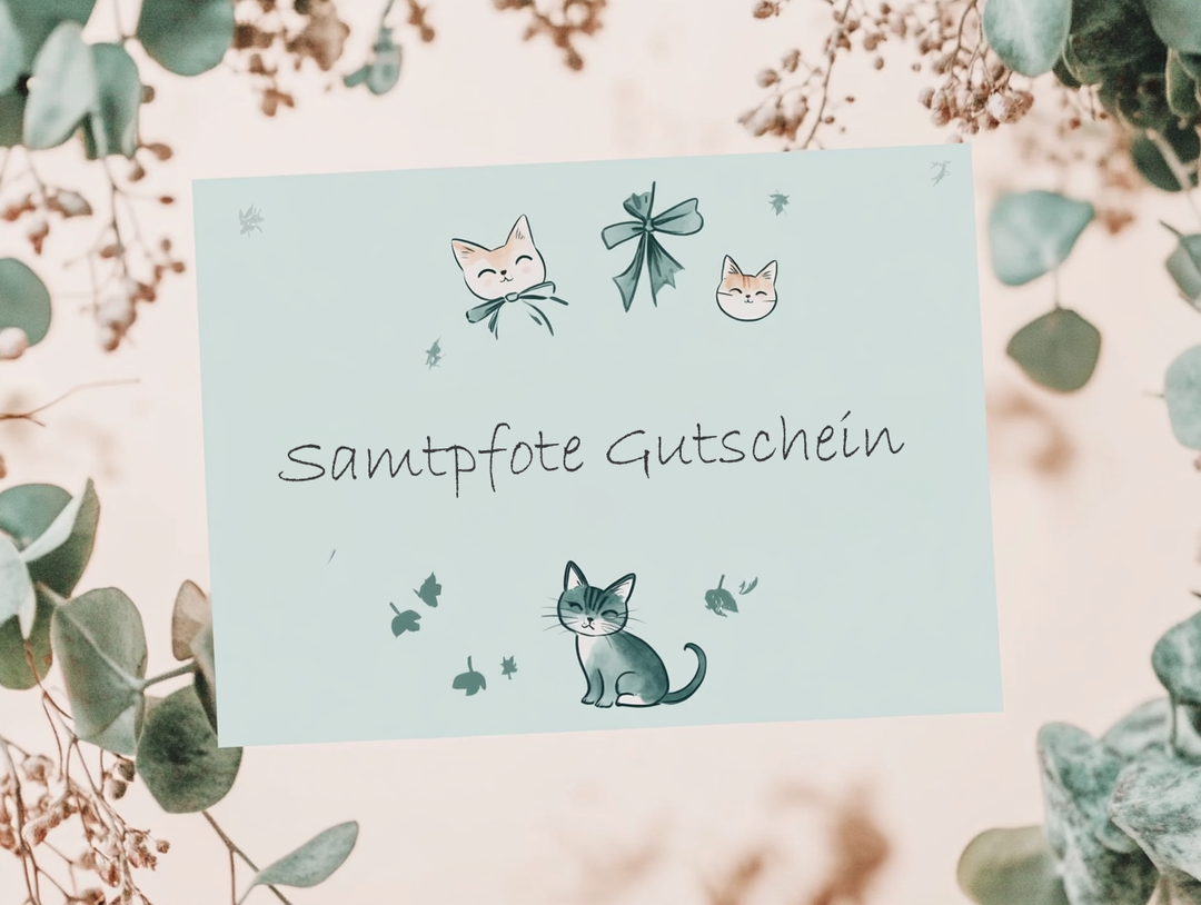 Samtpfote Geschenkgutschein | Voucher